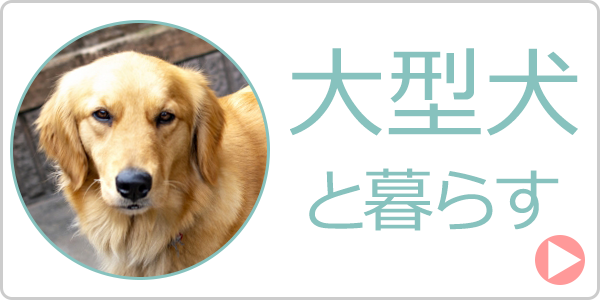 大型犬可 賃貸