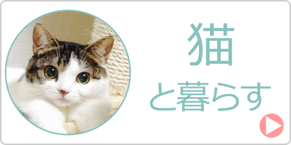 猫と暮らす