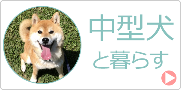 中型犬と暮らす