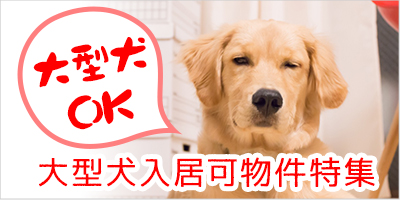 大型犬飼育可の賃貸物件特集