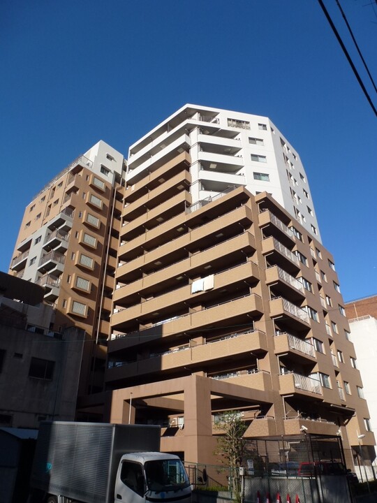 ペットコンテンツ配信