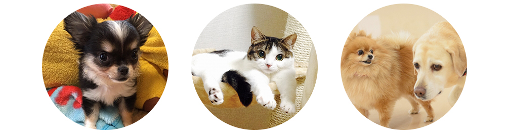 物件を無料で掲載しませんか？